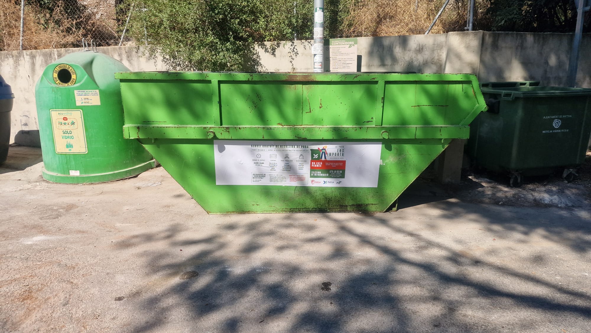 Servicio de poda de Bixquet y Carraixet